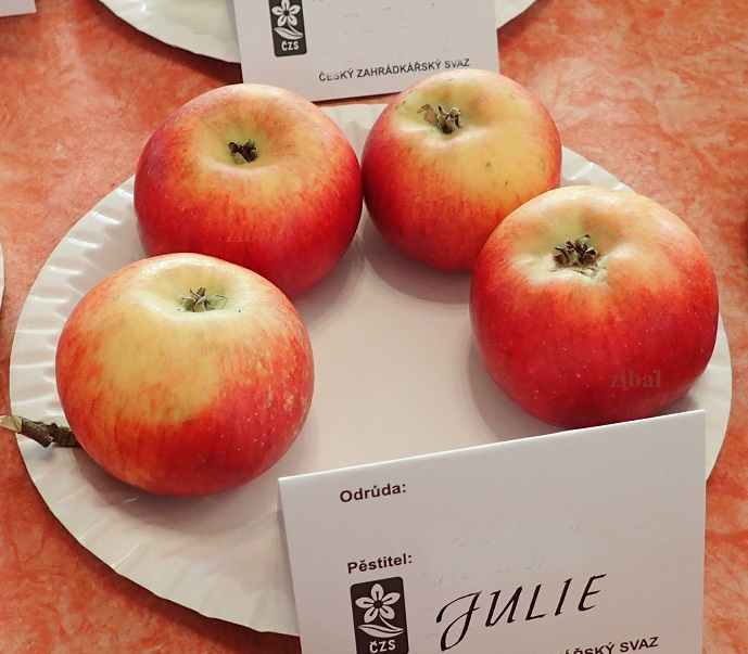 jabloň Julia
