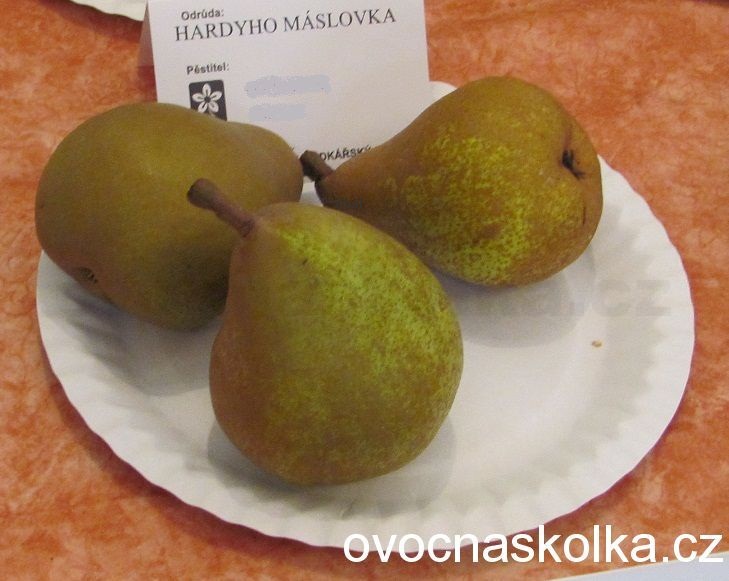 hrušeň Hardyho 